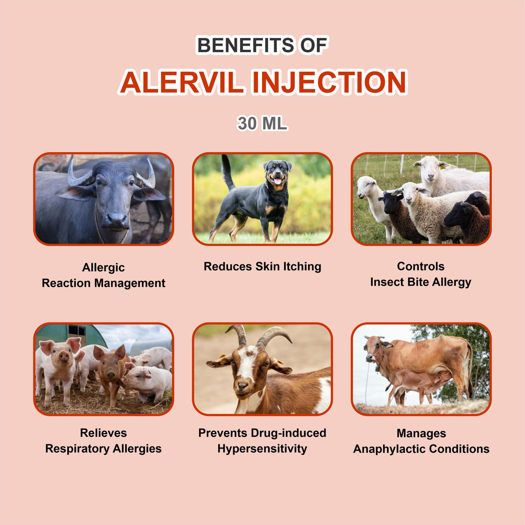 Marc Alervil Injection 30ml (64Unit) – Fast-Acting Veterinary Antiallergic & Antihistamine Solution for Livestock & Pets