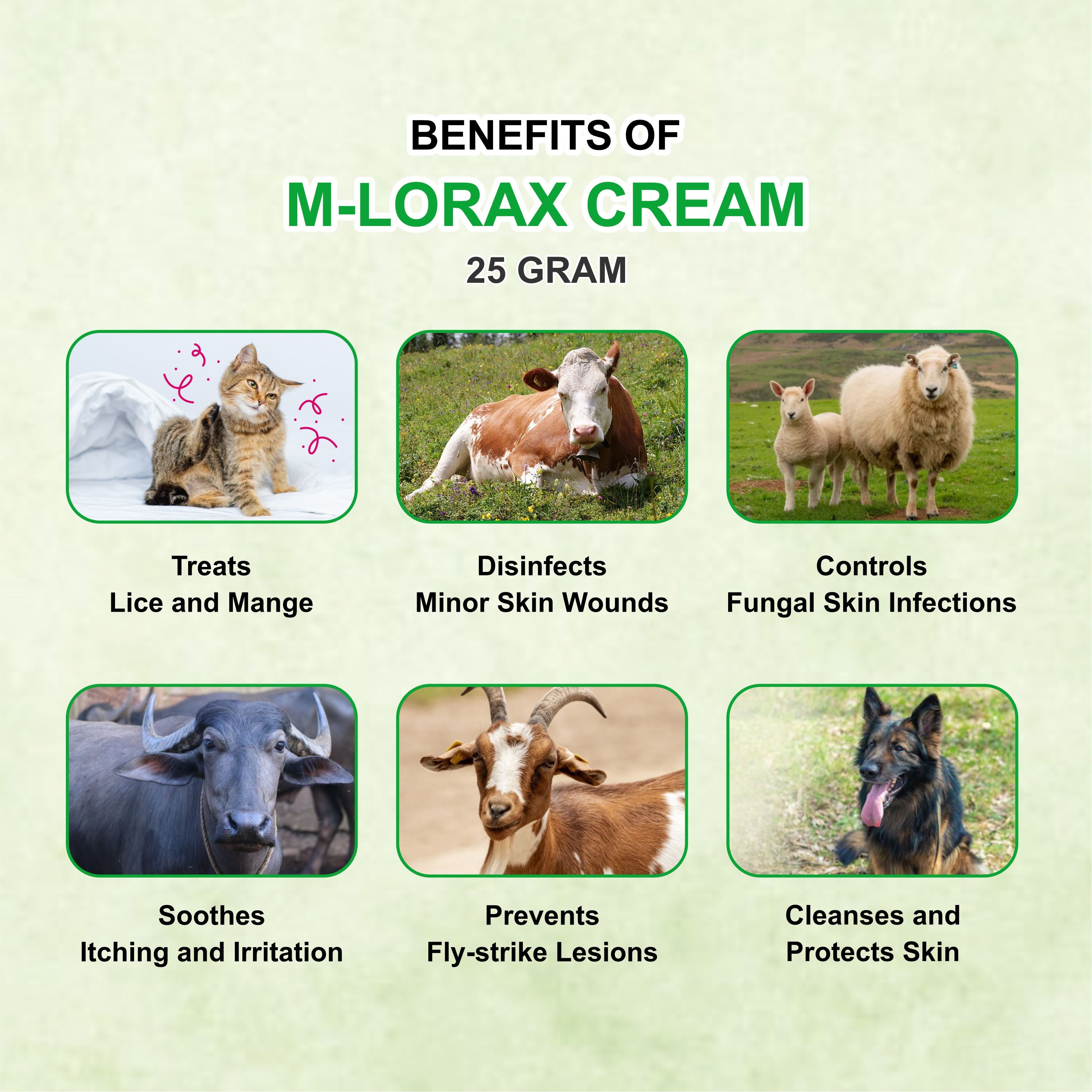 M Lorex Cream 25g – Triple-Action Antiparasitic, Antibacterial & Antiseptic Cream (Pack of 5)