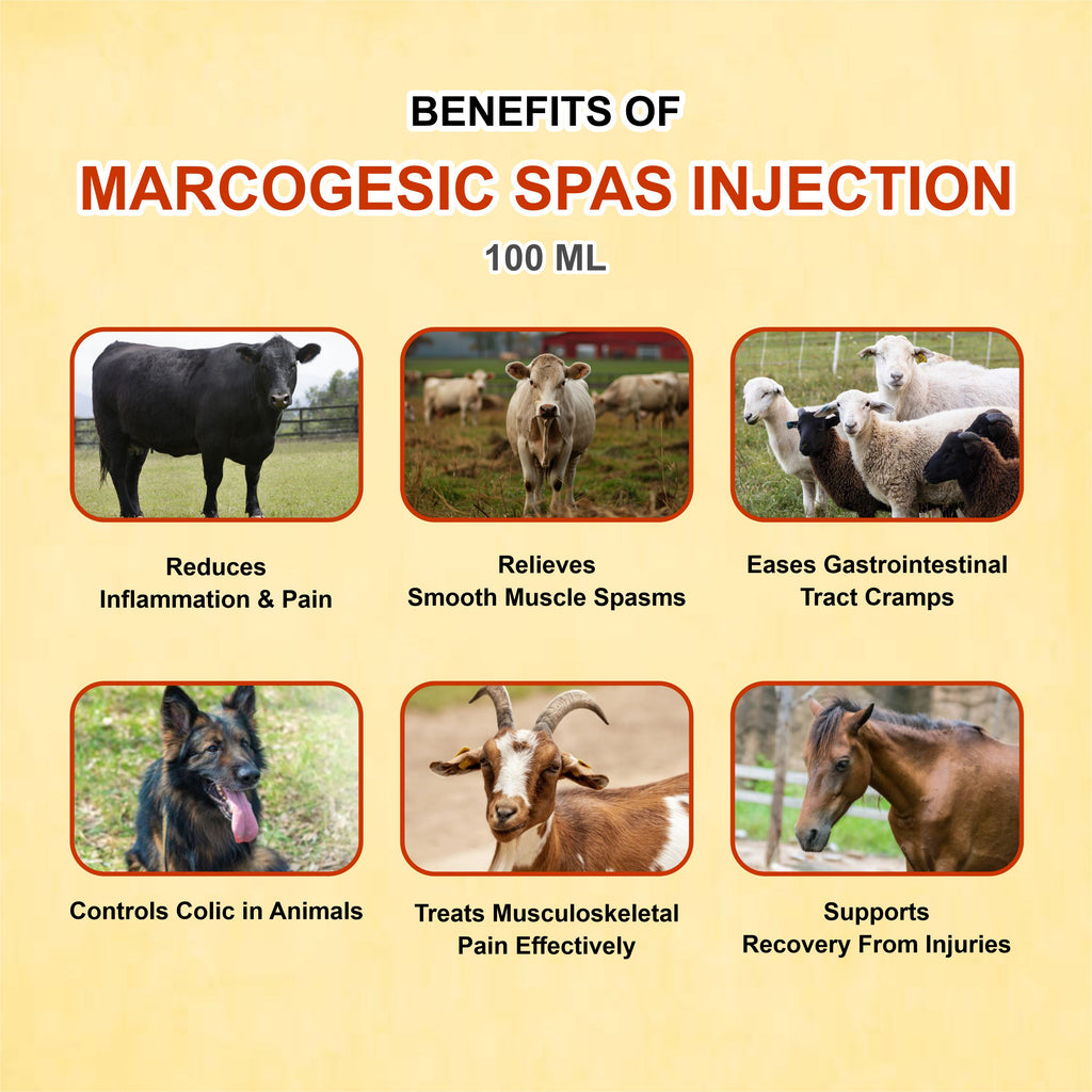 Marcogesic Spas Injection 30ml - Powerful Veterinary Muscle Relaxant & Pain Reliever (Pack of 2)