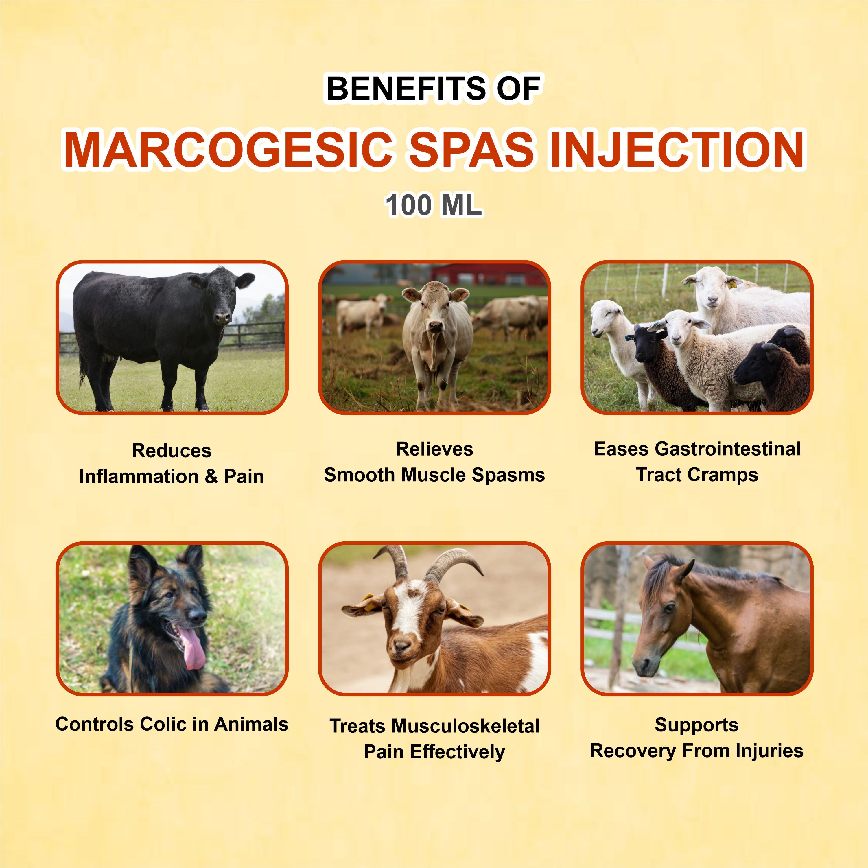 Marcogesic Spas Injection 30ml - Powerful Veterinary Muscle Relaxant & Pain Reliever (Pack of 2)