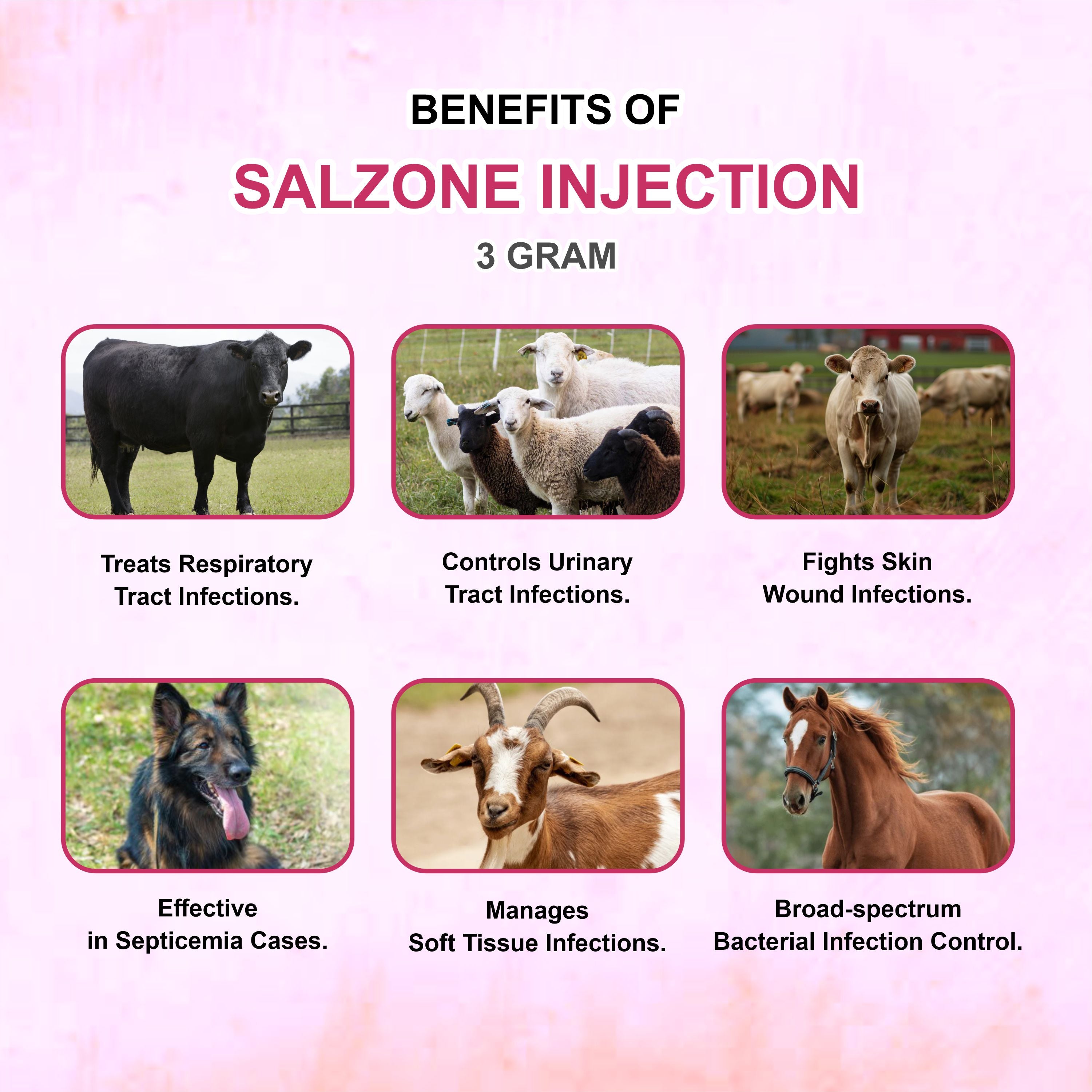Salzone Injection 3GM – Cefoperazone + Sulbactam Injectable Antibiotic