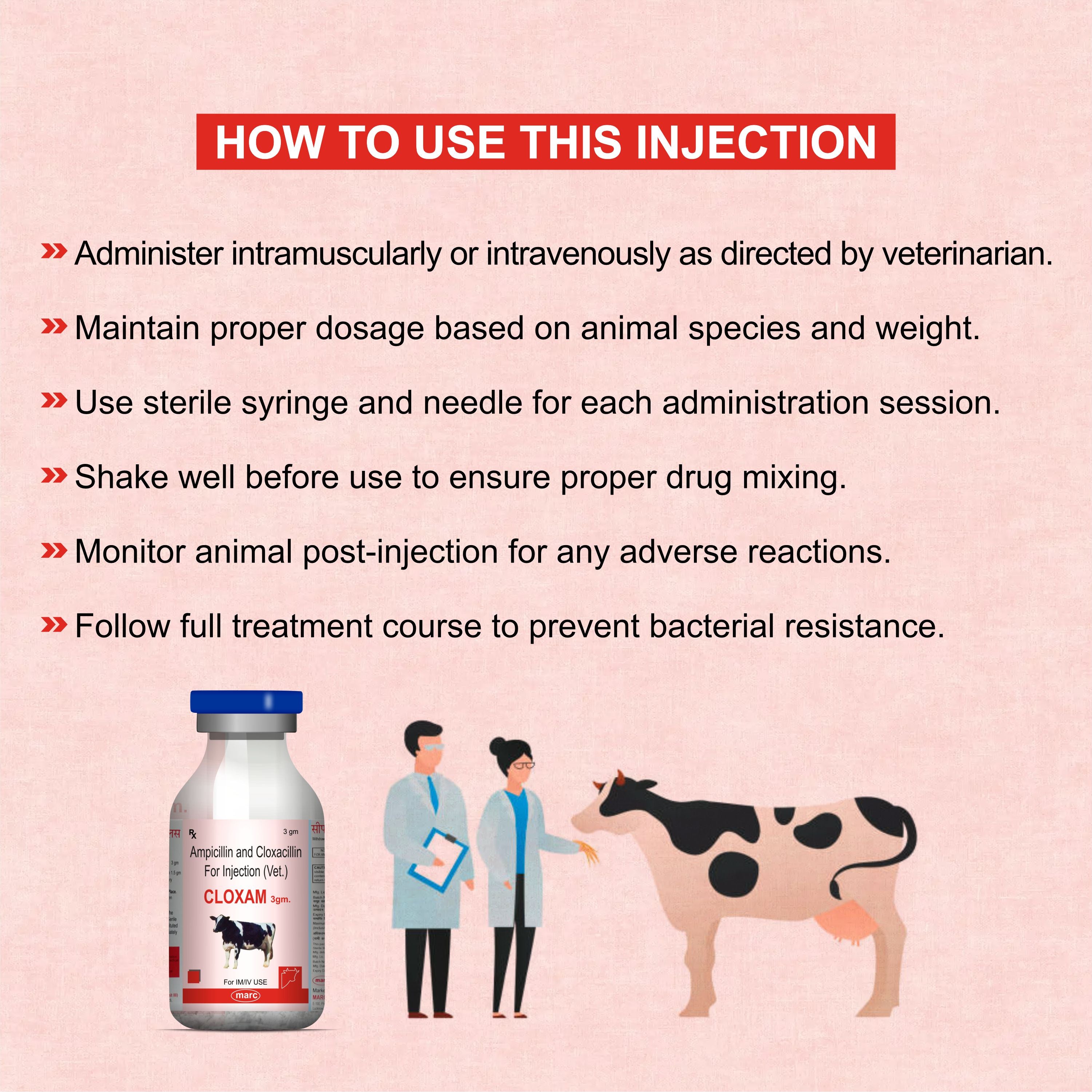 Cloxam Injection 3Gm – Fast-Acting Injectable Antibiotic for Livestock Health (Pack of 3)