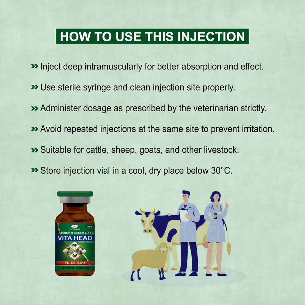 Vita Head Injection 10ml – Complete Injectable Support for Skin, Immunity & Performance in Livestock (Pack of 2)