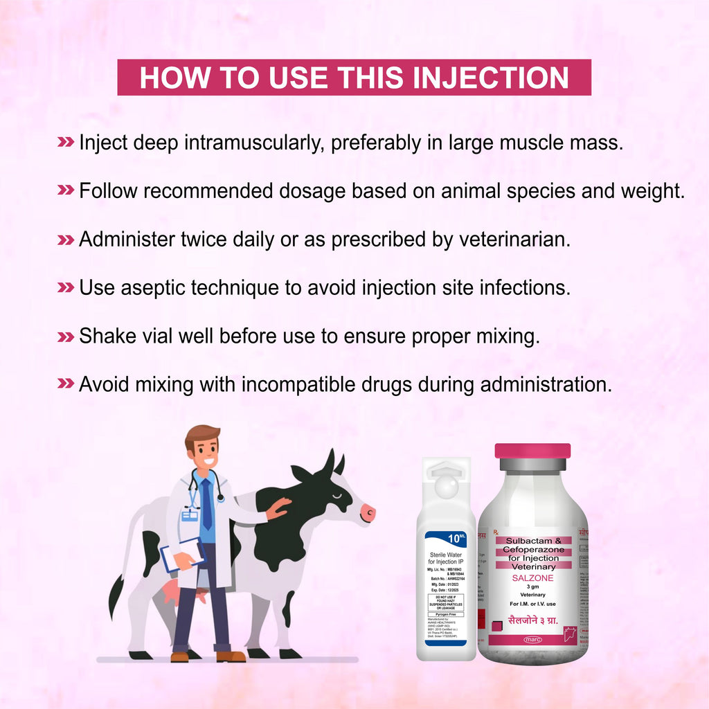 Salzone Injection 3GM – Cefoperazone + Sulbactam Injectable Antibiotic