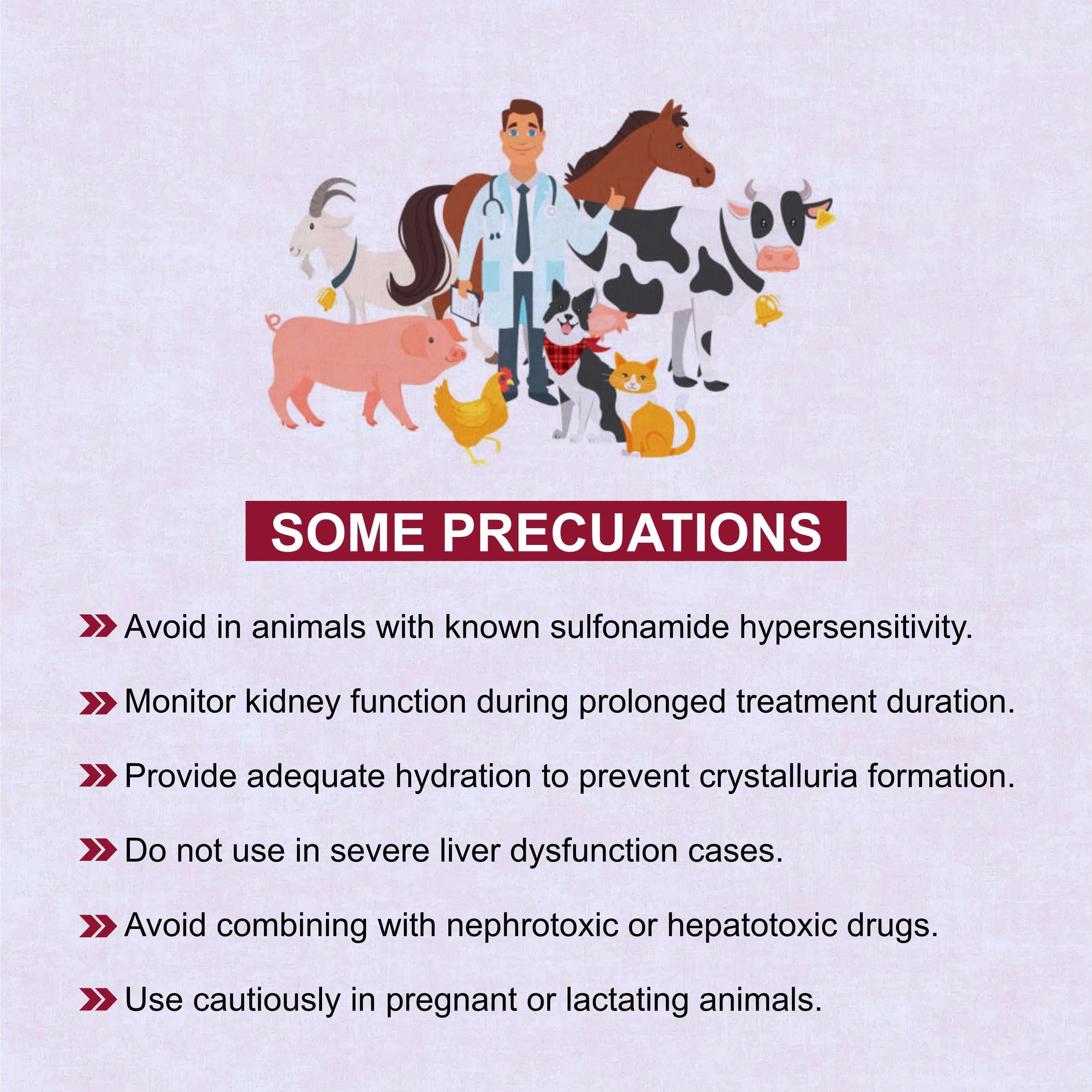 Marc Sulphadimidine Bolus – Broad-Spectrum Antimicrobial for Livestock