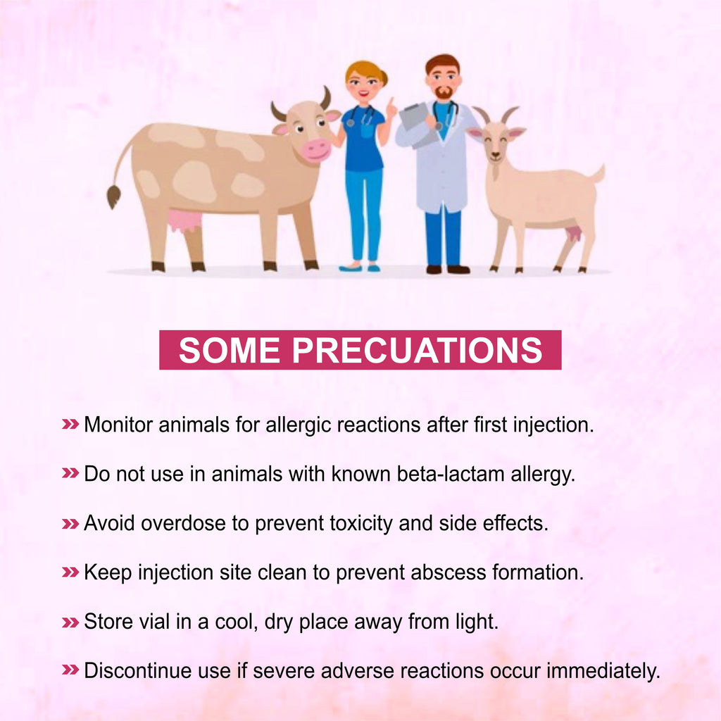 Salzone Injection 3GM – Cefoperazone + Sulbactam Injectable Antibiotic