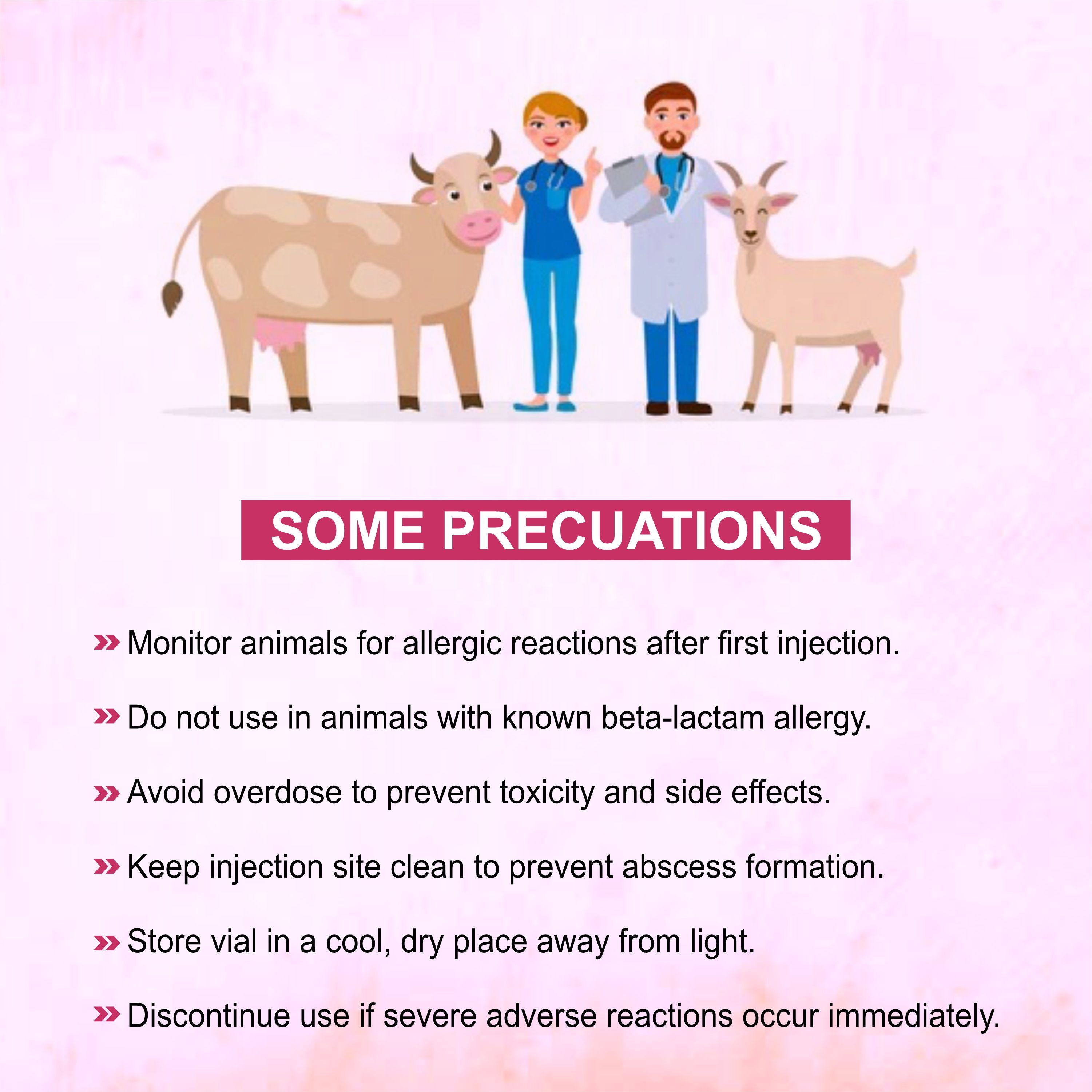 Salzone Injection 3GM – Cefoperazone + Sulbactam Injectable Antibiotic