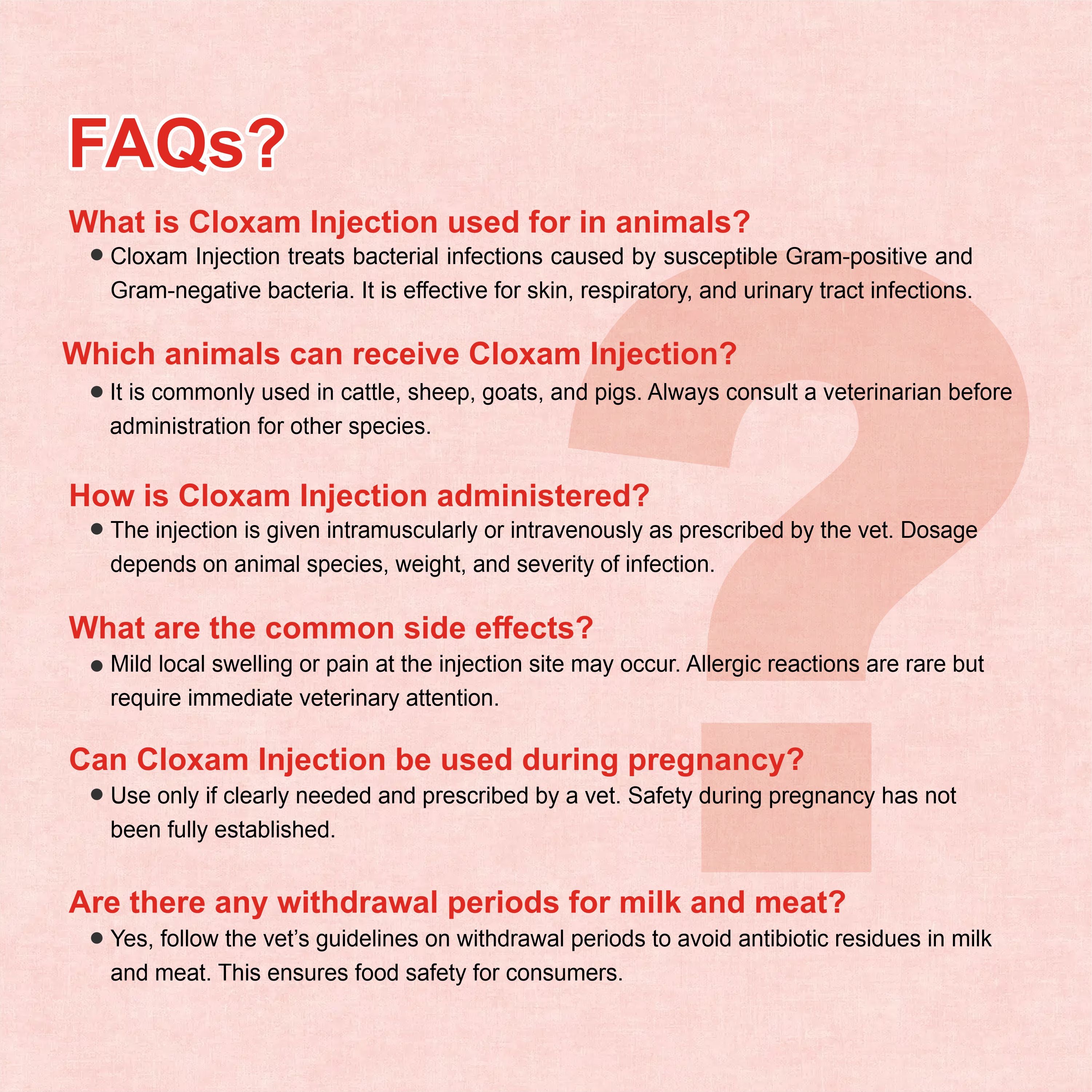 Cloxam Injection 3Gm – Fast-Acting Injectable Antibiotic for Livestock Health (Pack of 3)