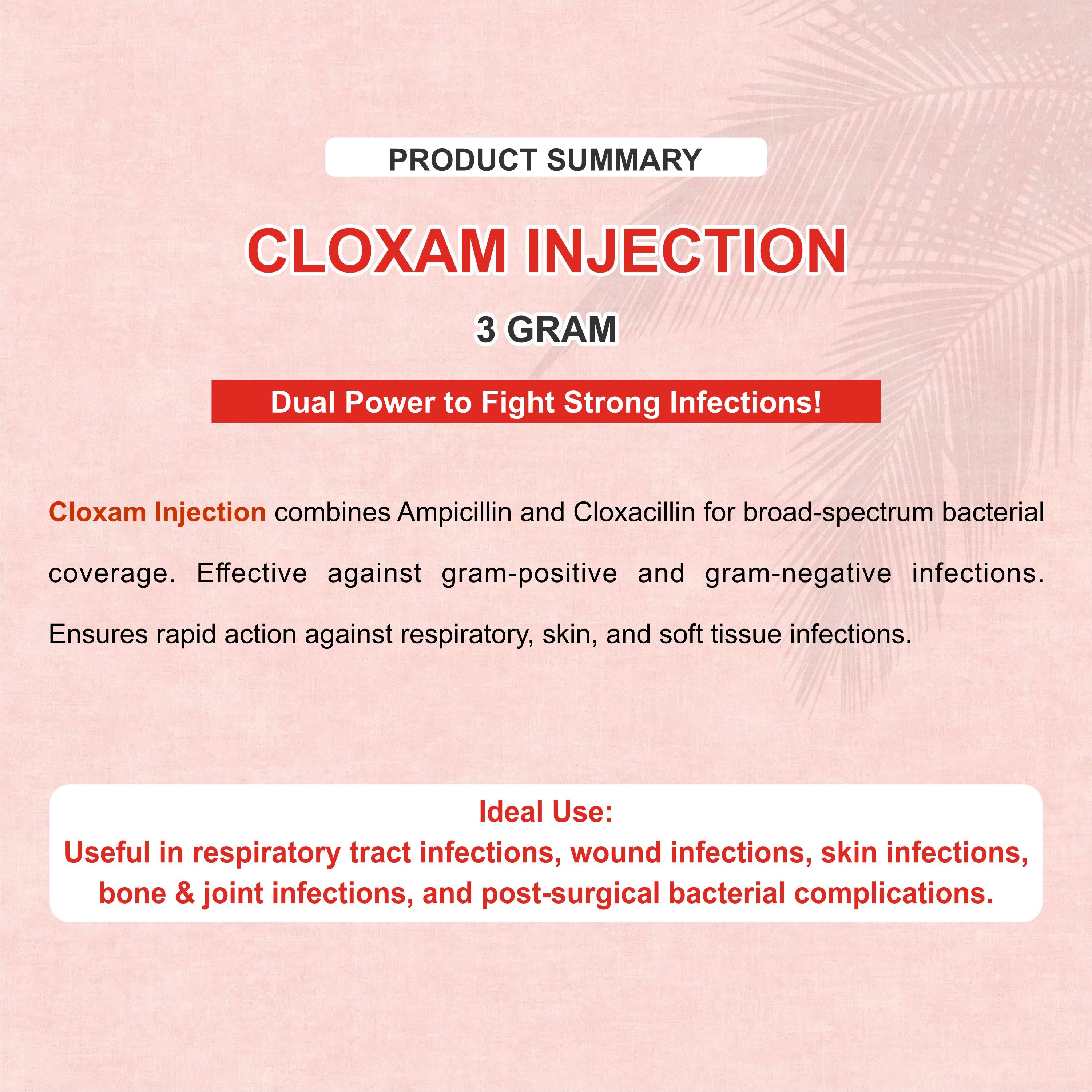 Cloxam Injection 3Gm – Fast-Acting Injectable Antibiotic for Livestock Health (Pack of 3)