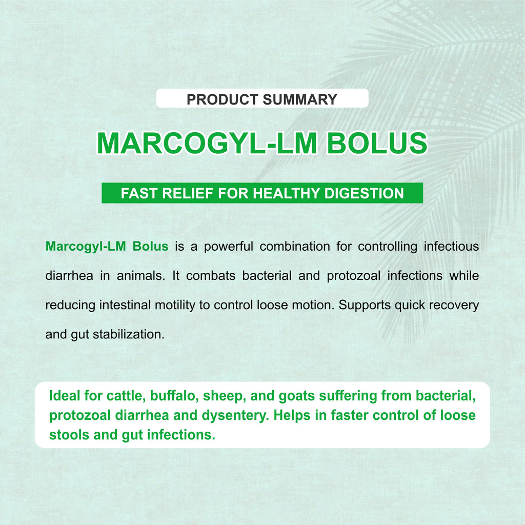 Marcogyl LM Bolus (5X4) – Powerful Veterinary Antidiarrheal & Antimicrobial Suspension