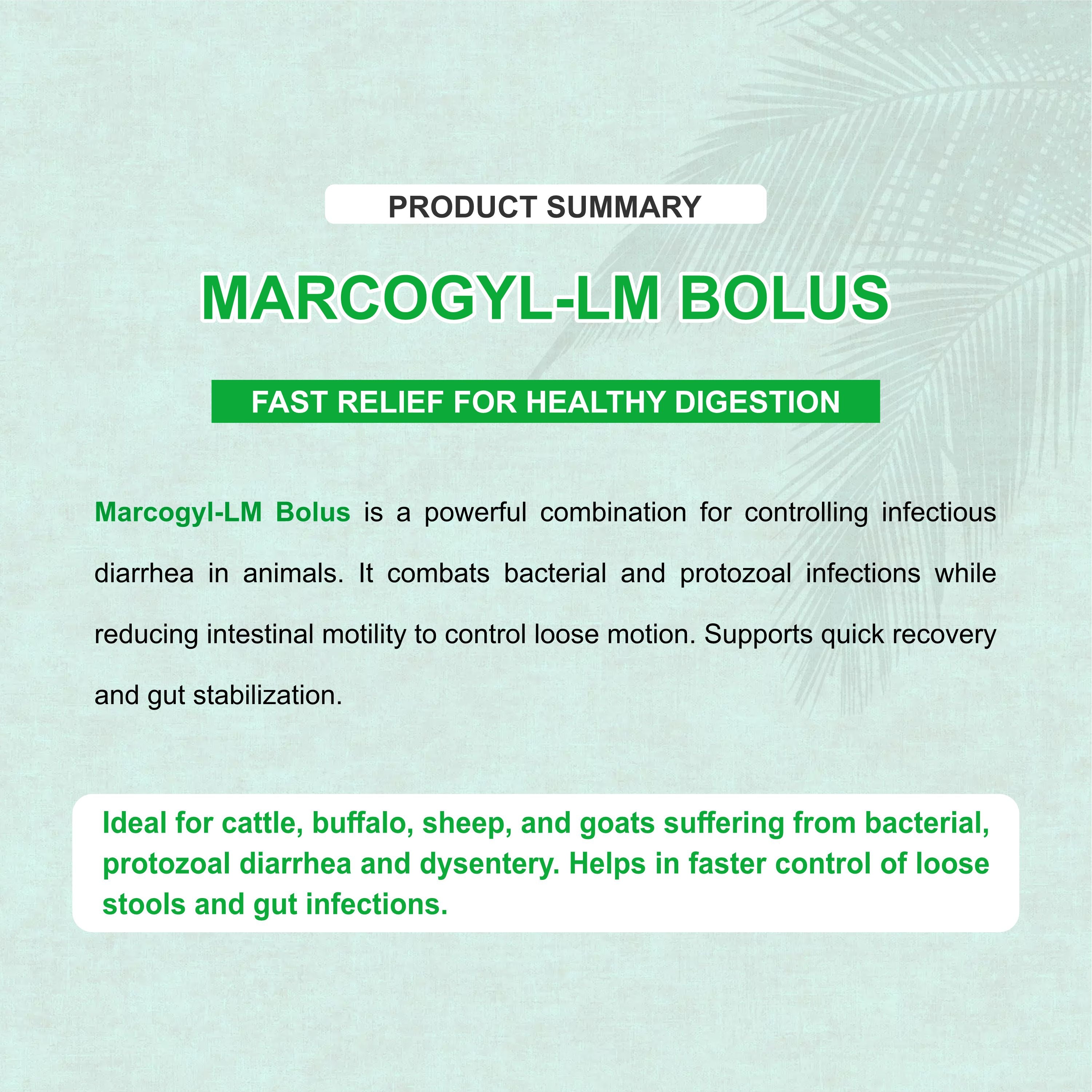 Marcogyl LM Bolus (5X4) – Powerful Veterinary Antidiarrheal & Antimicrobial Suspension