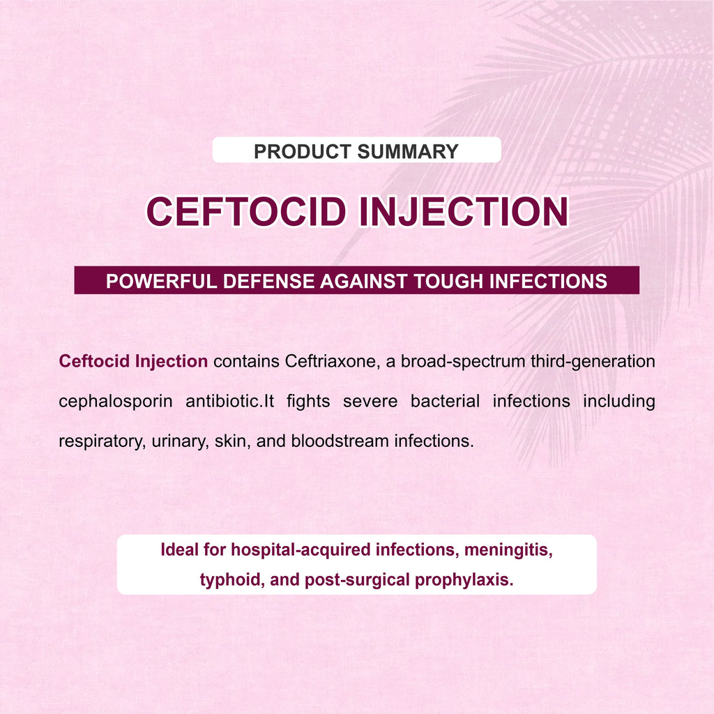Ceftocid GM Injection – Broad-Spectrum Antibiotic for Serious Infections (Pack of 8)