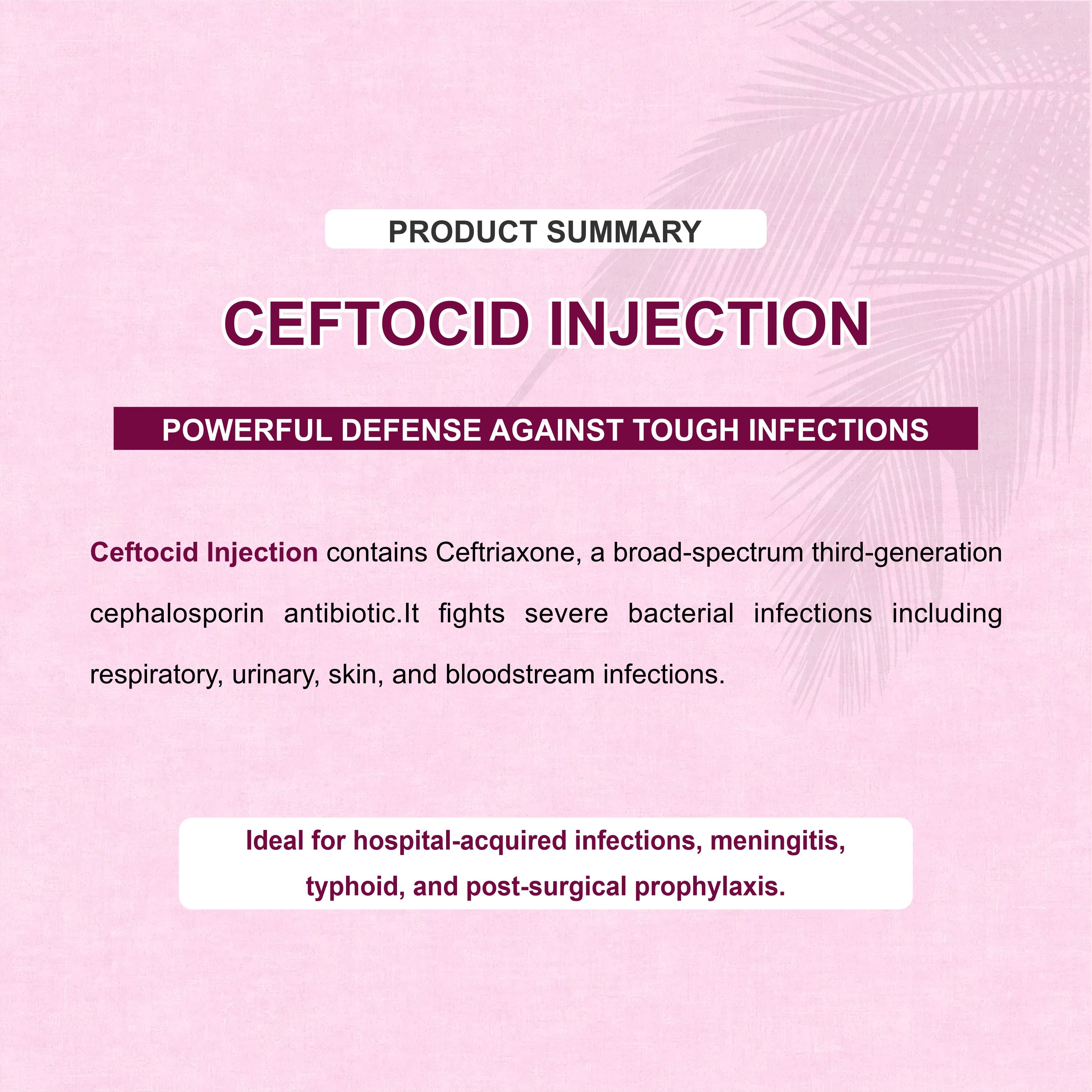 Ceftocid GM Injection – Broad-Spectrum Antibiotic for Serious Infections (Pack of 8)