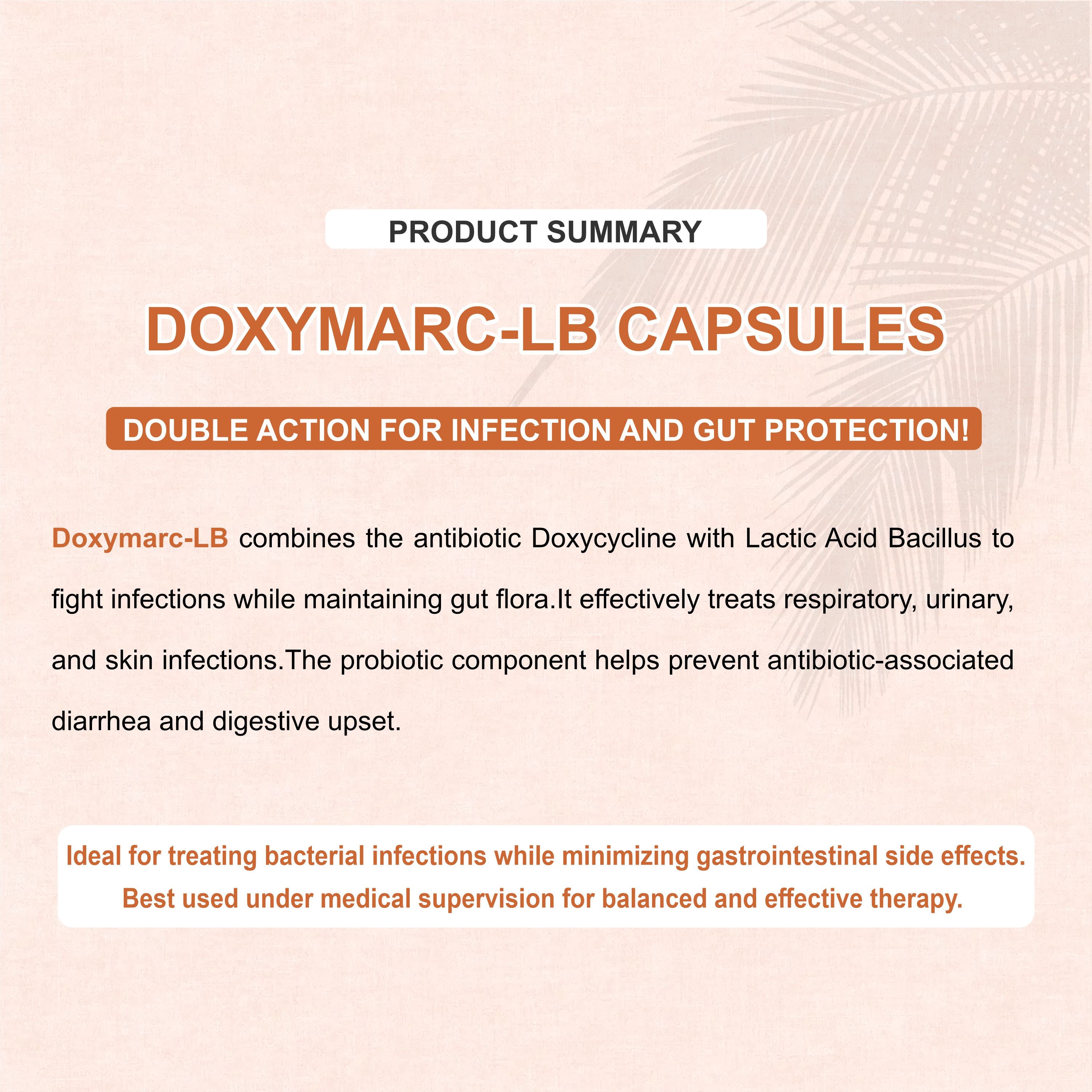 Doxymarc LB Doxycycline & Lactobacillus Capsule – Antibiotic with Gut Protection