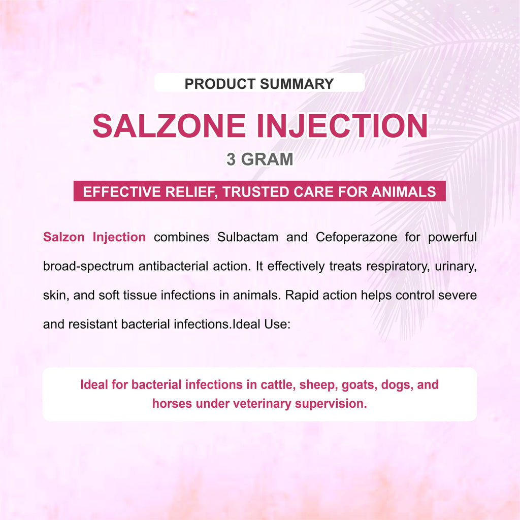 Salzone Injection 3GM – Cefoperazone + Sulbactam Injectable Antibiotic