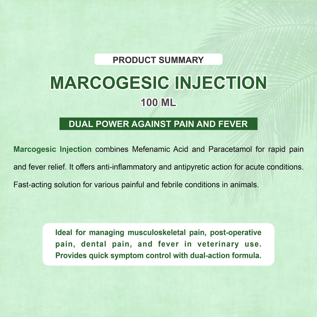Marcogesic Injection 100ml – Fast-Acting Veterinary Analgesic & Antipyretic Solution (Pack of 2)