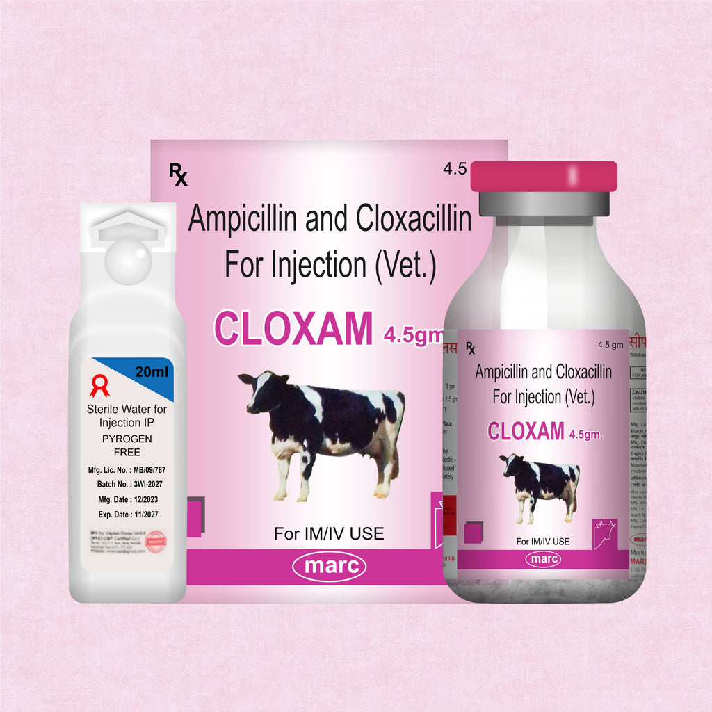 Cloxam Injection 4.5Gm – Fast-Acting Injectable Antibiotic for Livestock Health (Pack of 2)