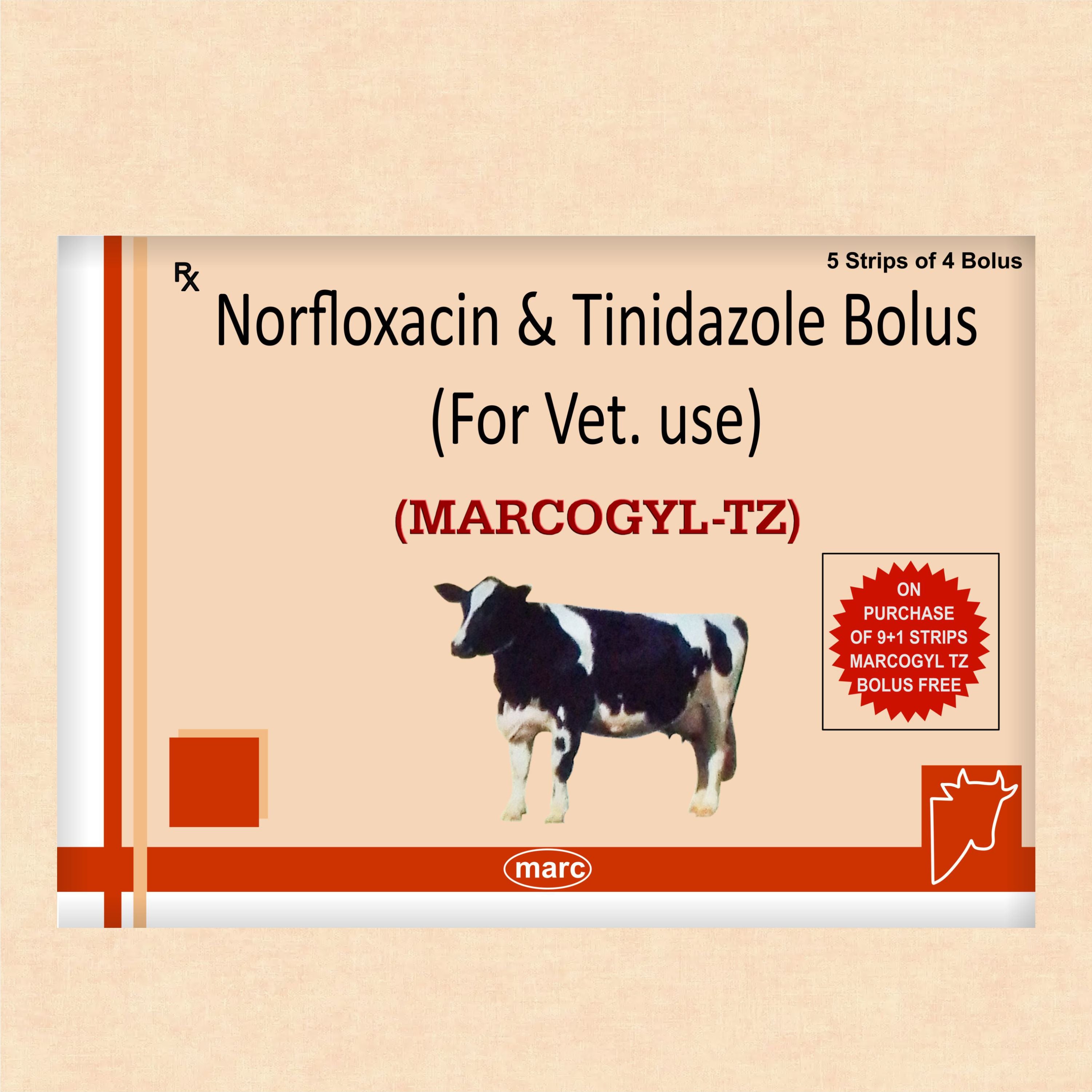 Marcogyl TZ Bolus – Norfloxacin + Tinidazole Veterinary Bolus