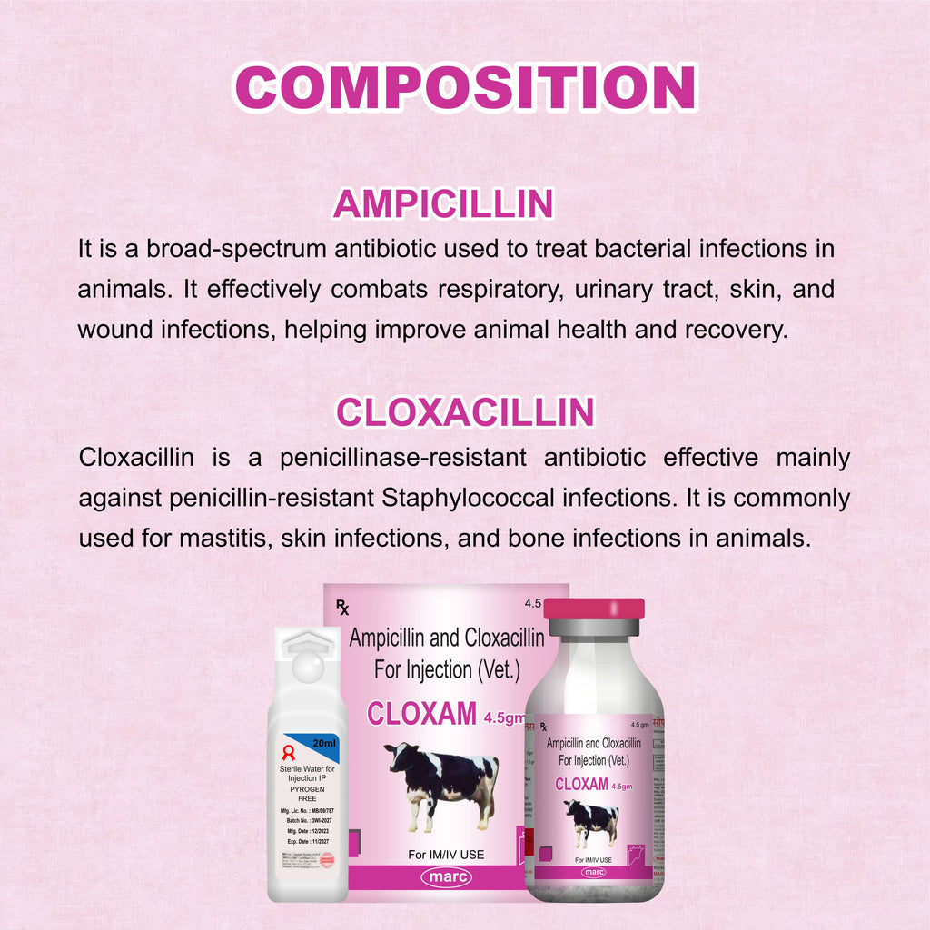 Cloxam Injection 4.5Gm – Fast-Acting Injectable Antibiotic for Livestock Health (Pack of 2)
