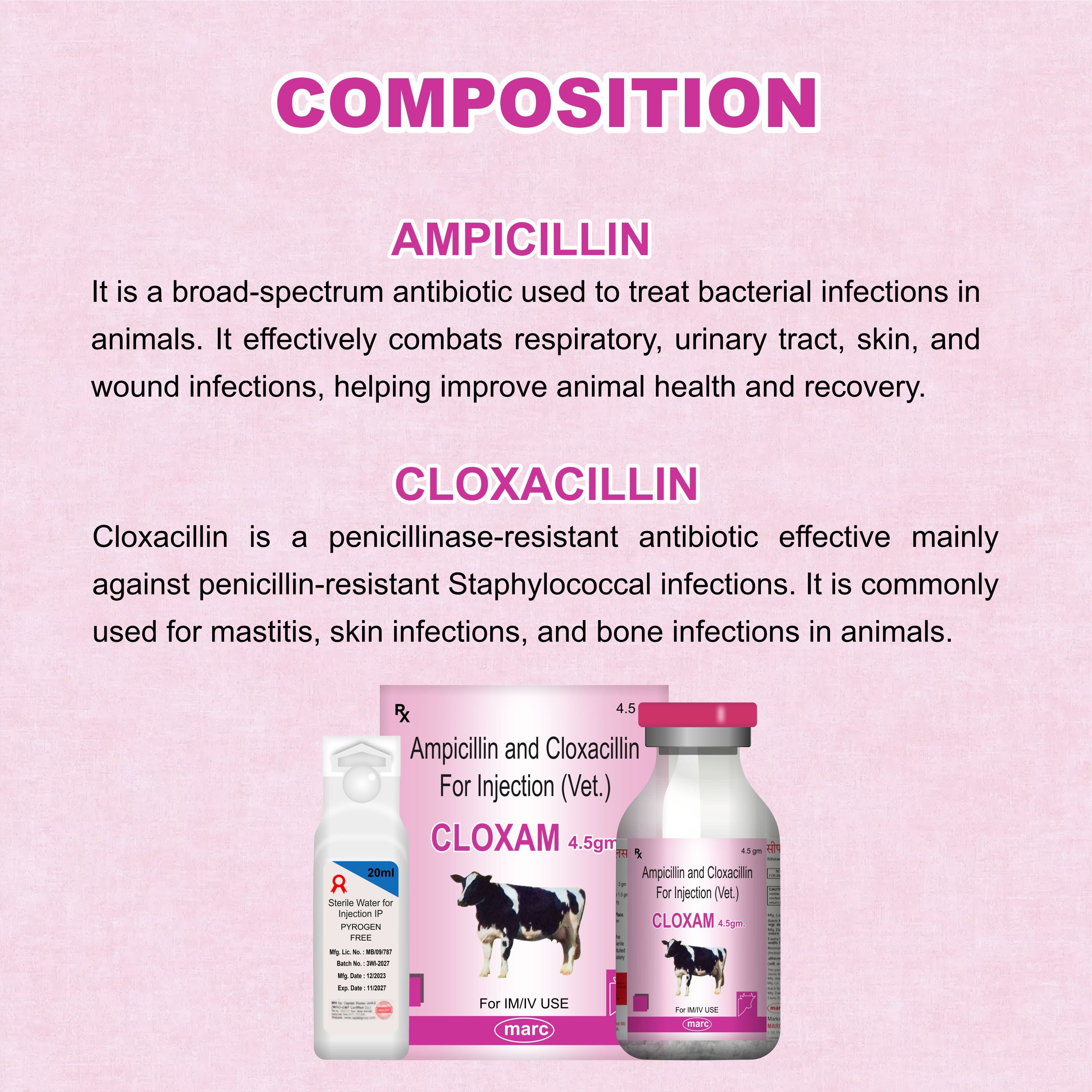 Cloxam Injection 4.5Gm – Fast-Acting Injectable Antibiotic for Livestock Health (Pack of 2)