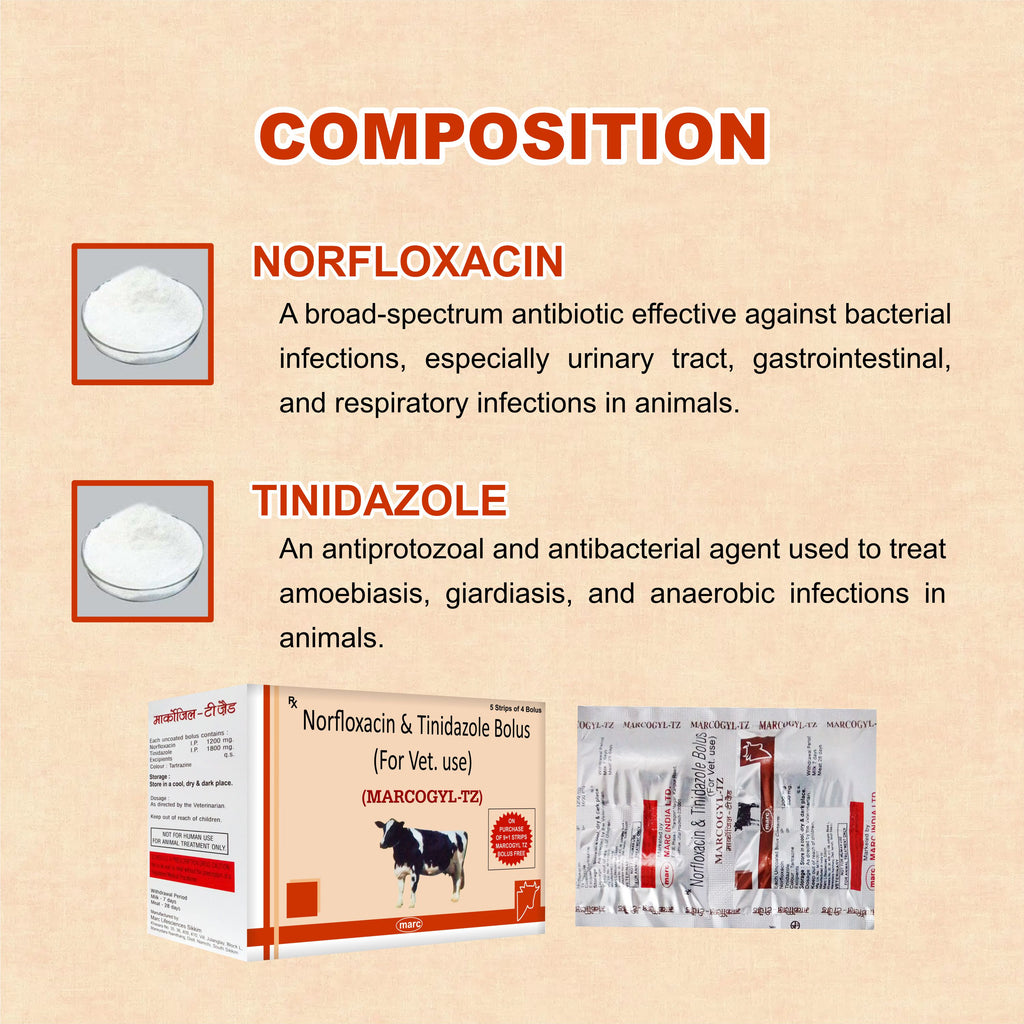 Marcogyl TZ Bolus – Norfloxacin + Tinidazole Veterinary Bolus