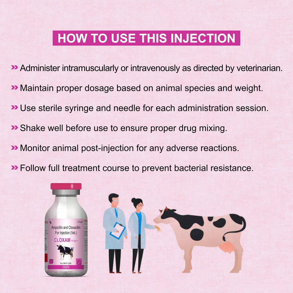 Cloxam Injection 4.5Gm – Fast-Acting Injectable Antibiotic for Livestock Health (Pack of 2)