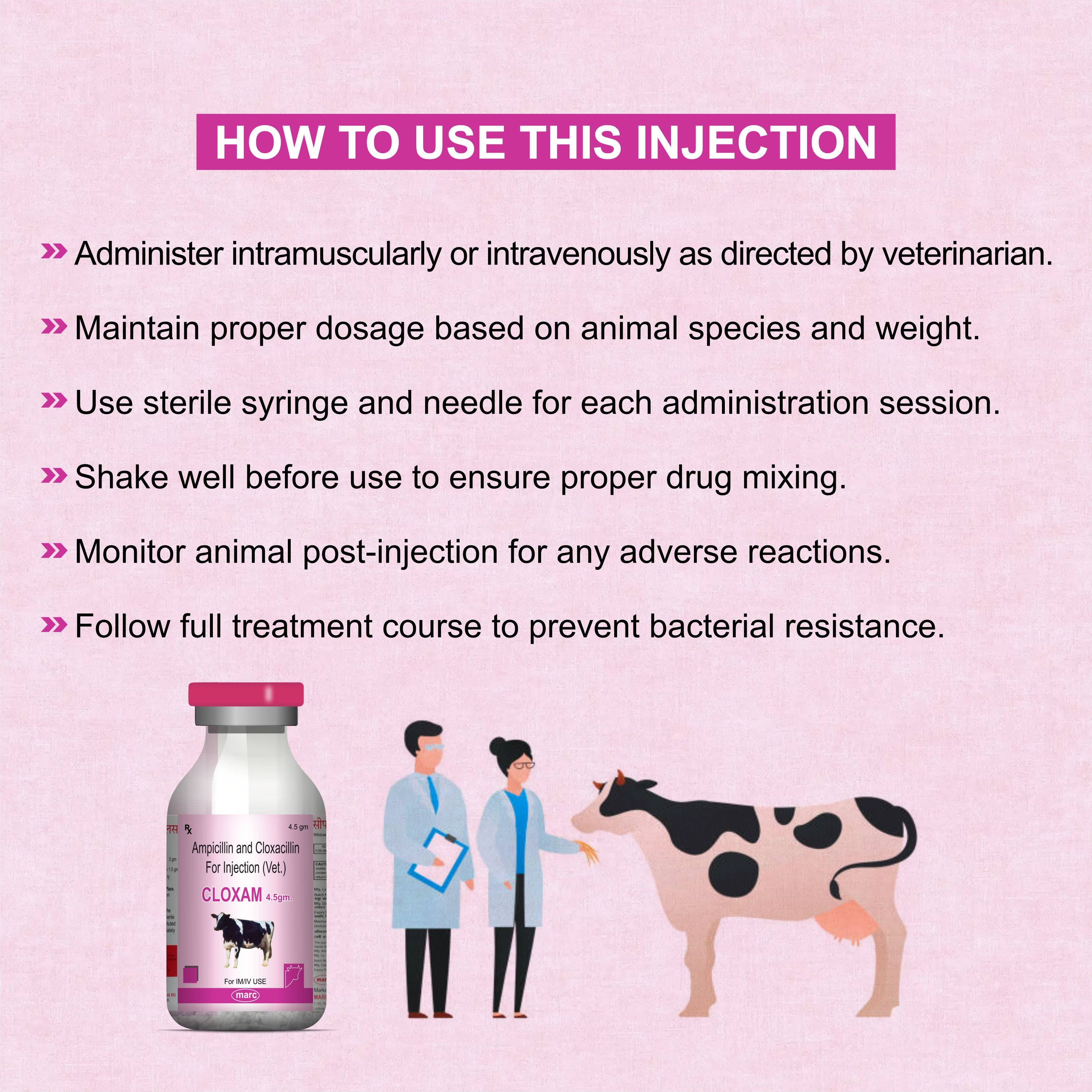 Cloxam Injection 4.5Gm – Fast-Acting Injectable Antibiotic for Livestock Health (Pack of 2)