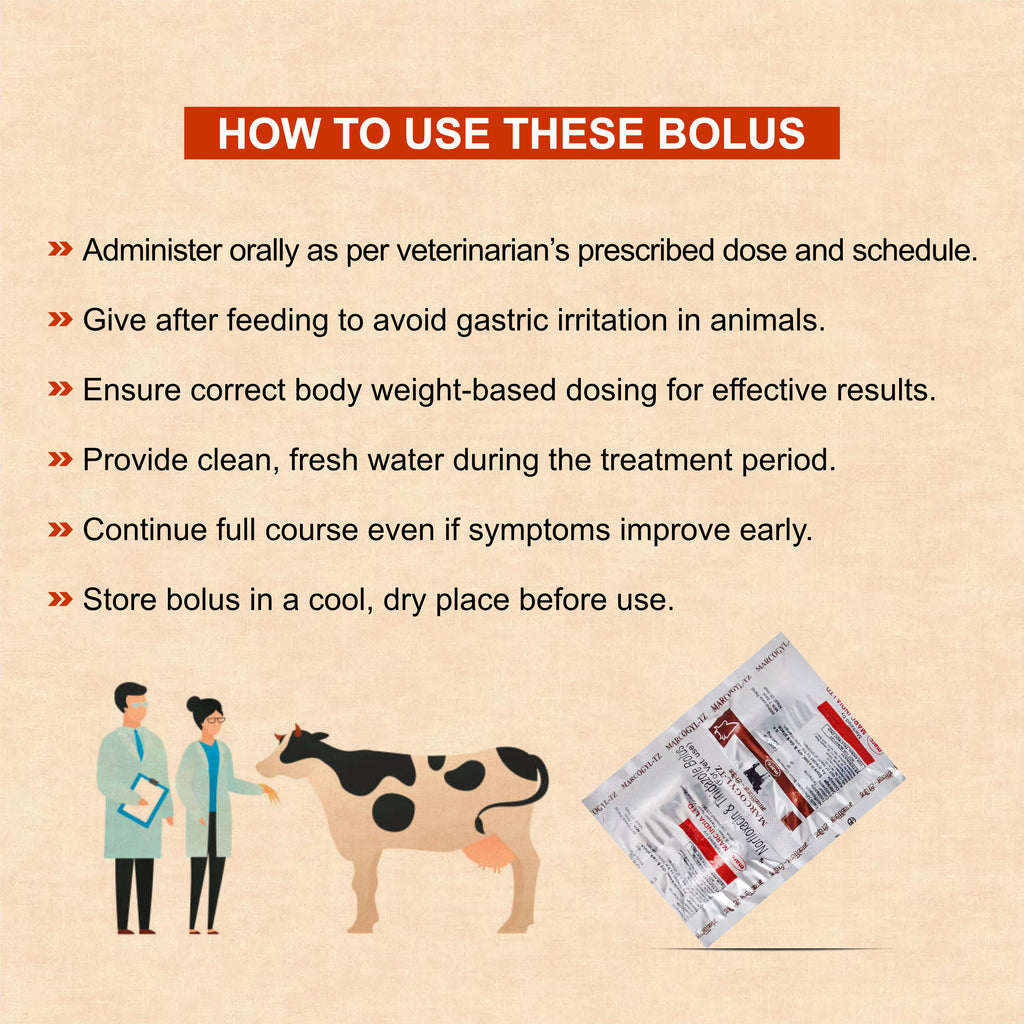 Marcogyl TZ Bolus – Norfloxacin + Tinidazole Veterinary Bolus