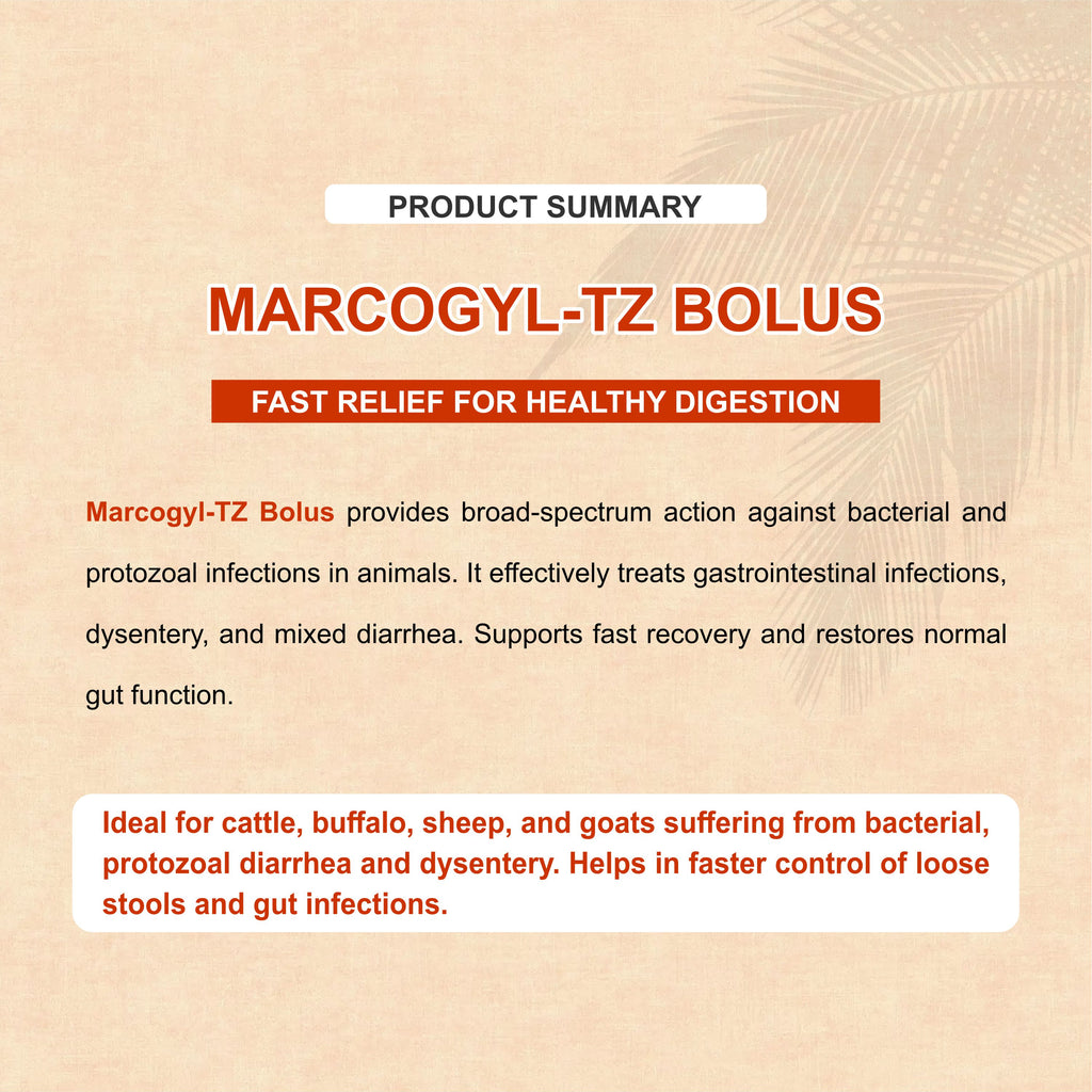 Marcogyl TZ Bolus – Norfloxacin + Tinidazole Veterinary Bolus