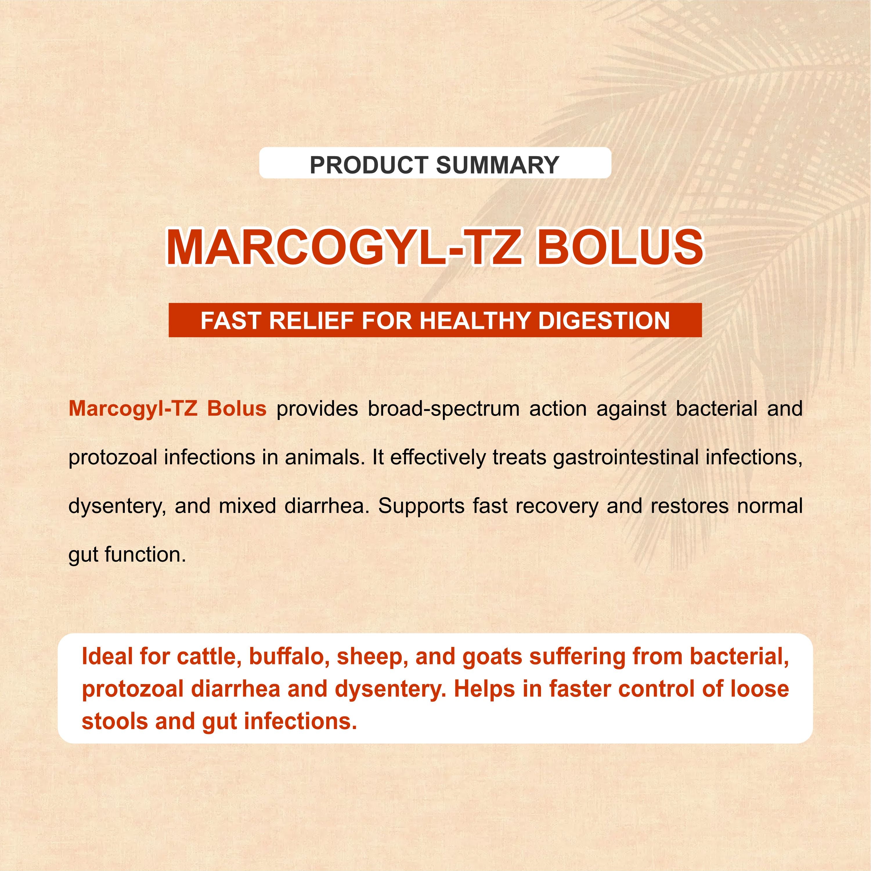Marcogyl TZ Bolus – Norfloxacin + Tinidazole Veterinary Bolus