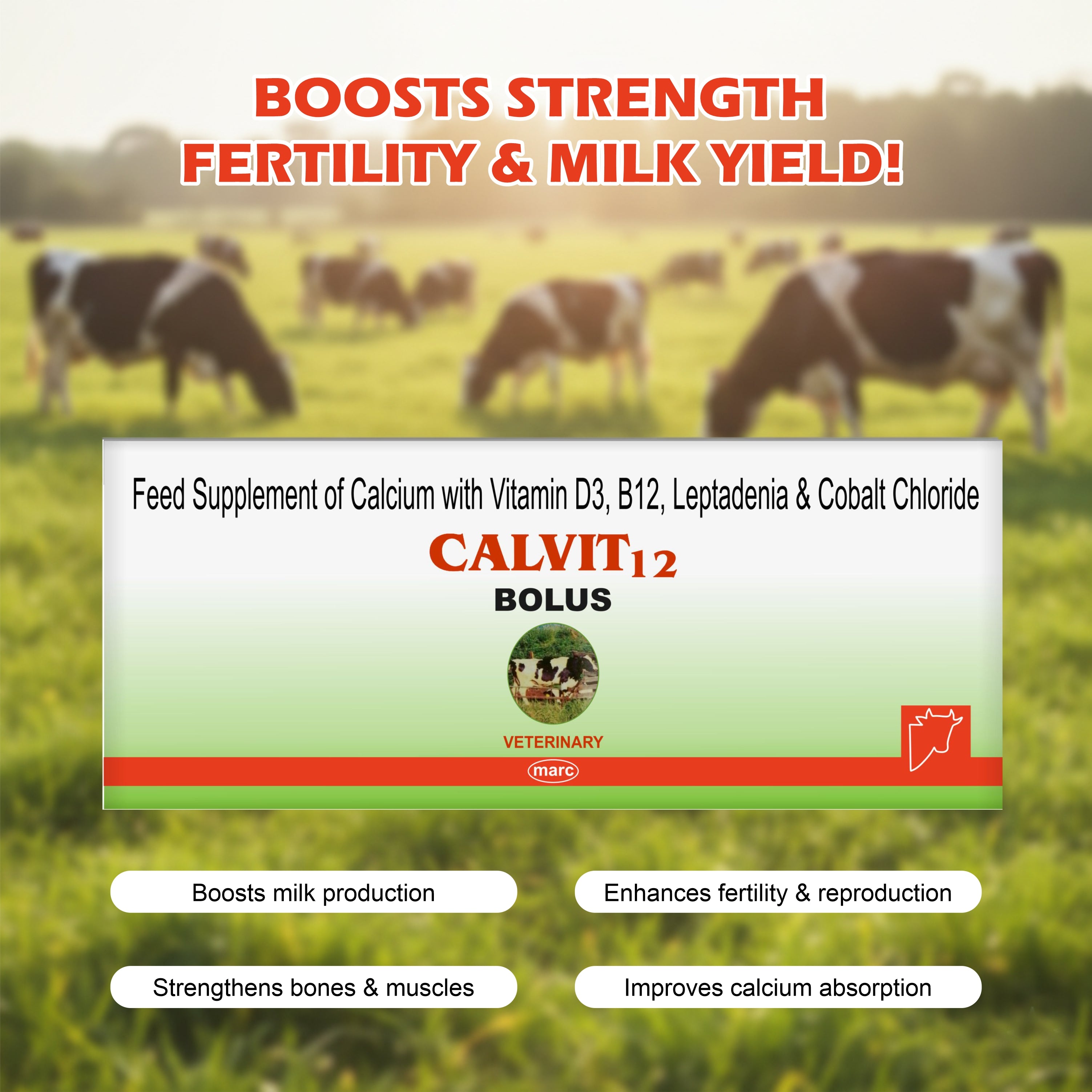 Marc Calvit 12 Bolus (20 Tablets) – Nutritional Supplement for Cattle & Buffalo Health