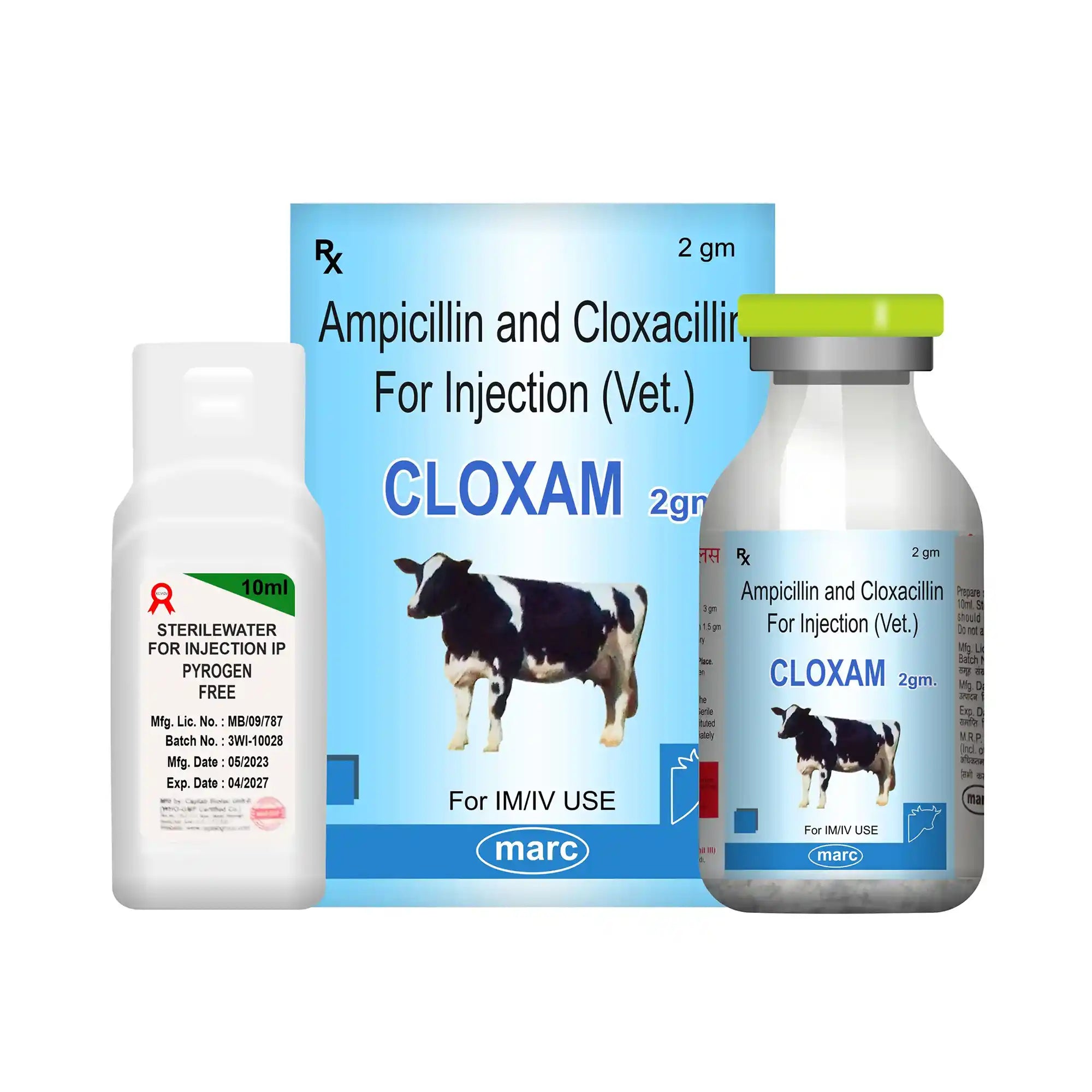 Cloxam Cloxacillin & Ampicillin 2gm Veterinary Injection – Mastitis & Infection in Small Livestock