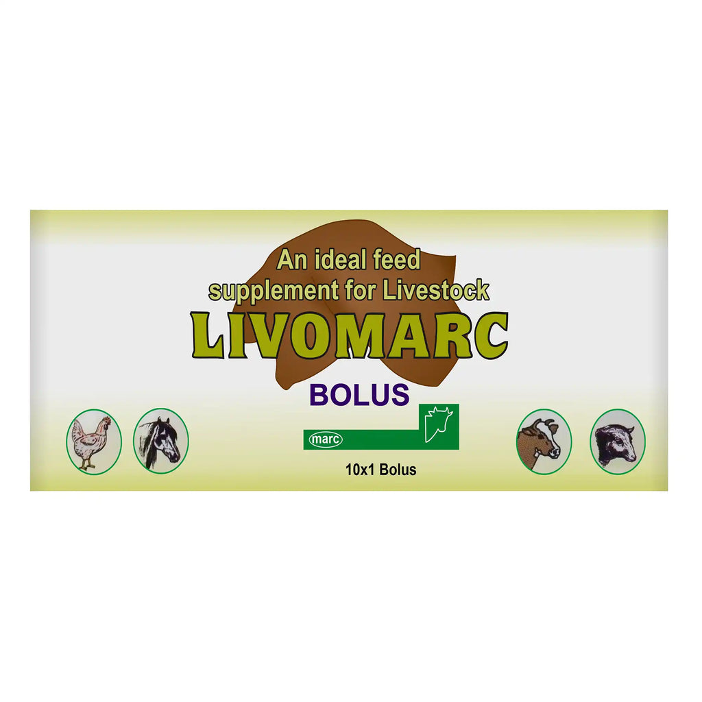 Livomarc Herbal Liver Support Bolus – Liver Health & Detox for Cattle & Livestock