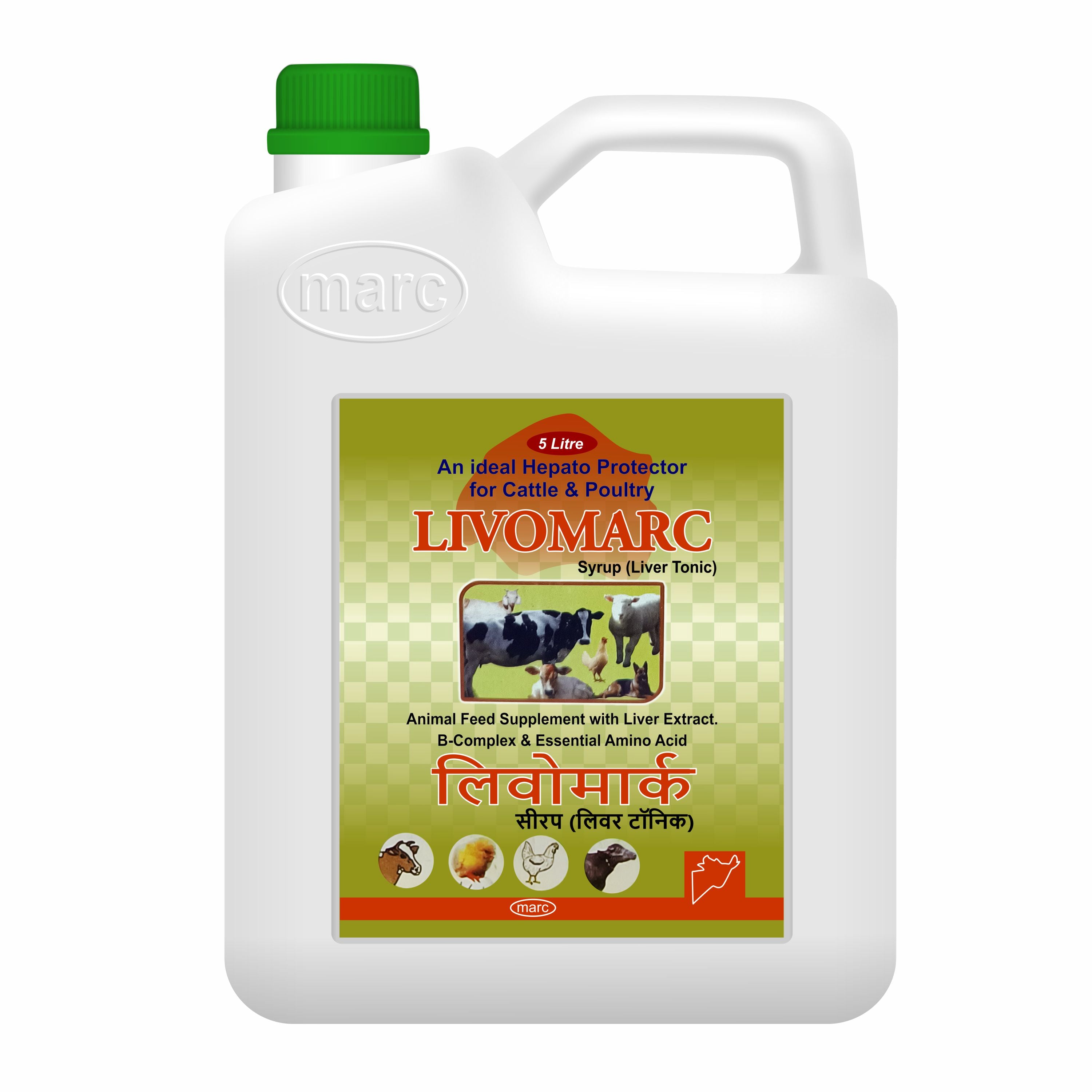 Marc Livomarc Syrup 5Lt – Advanced Veterinary Liver Tonic for Optimal Liver Health
