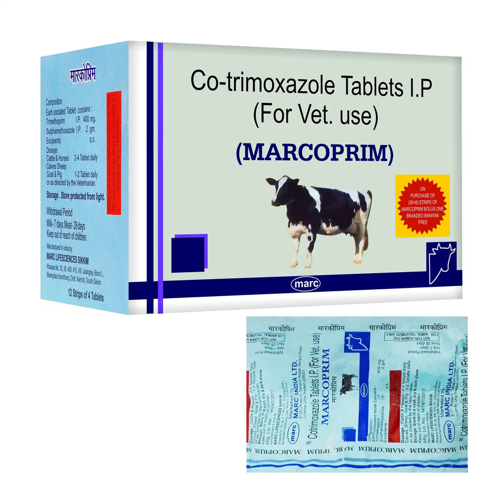 Marcoprim Veterinary Antibacterial & Antiprotozoal Bolus 12x4 – Gut & Systemic Infections in Livestock