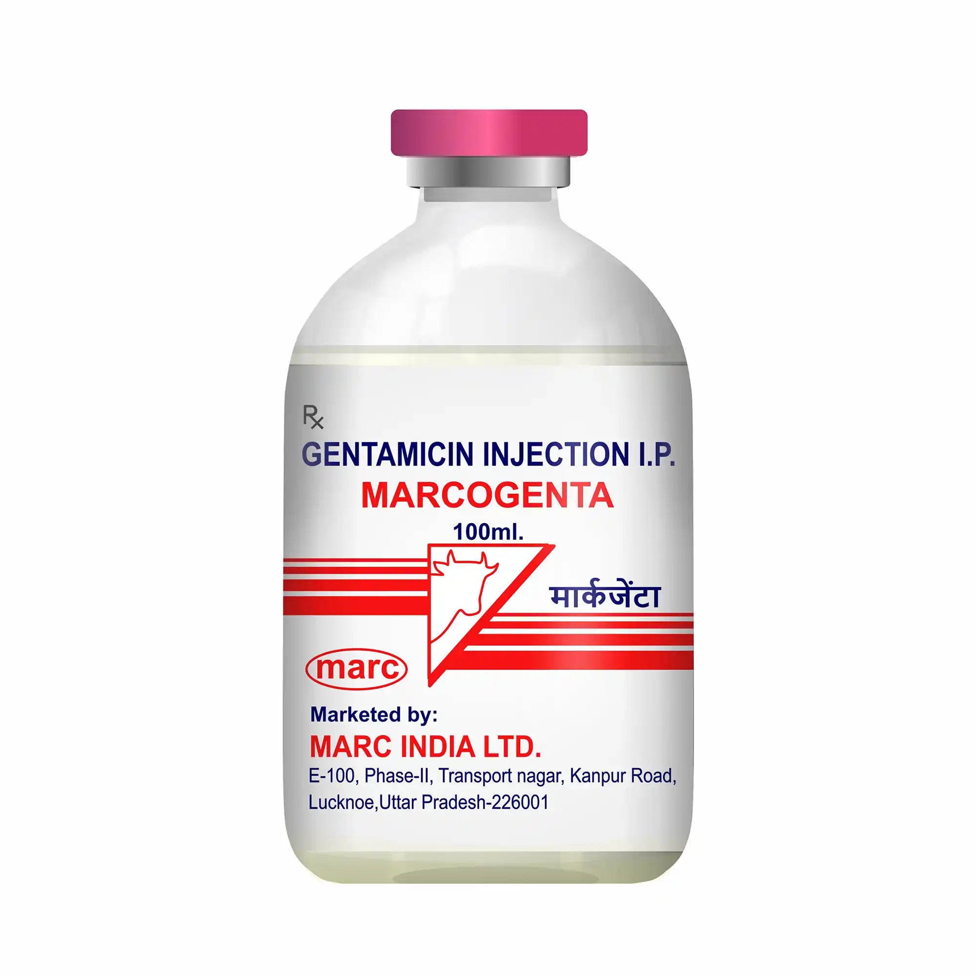 Marcogenta Gentamicin Veterinary Injection 100ml – Bulk Aminoglycoside Antibiotic for Livestock Herds