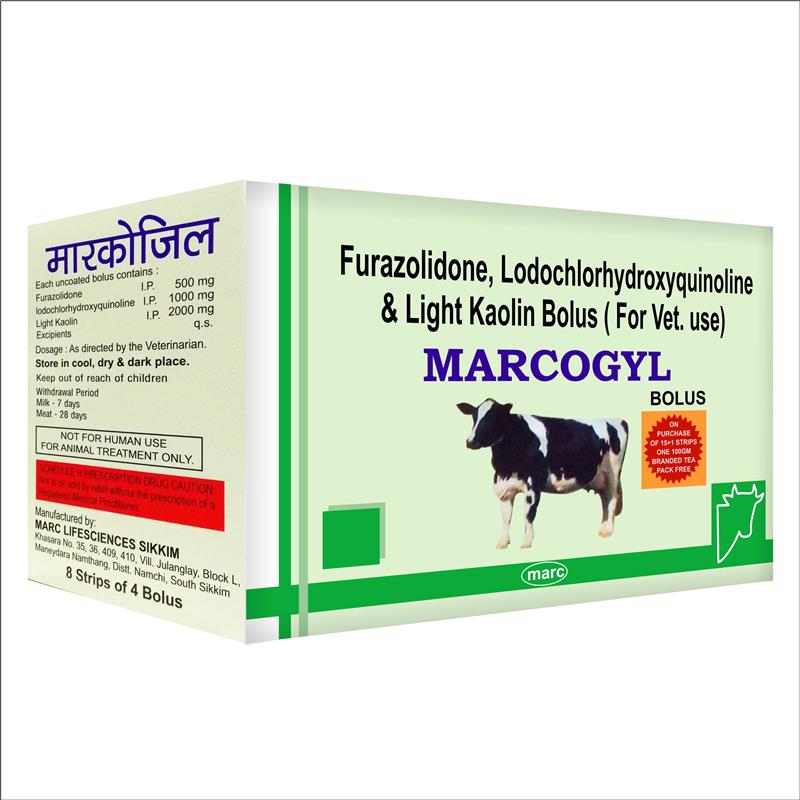 Cattle animal bolus