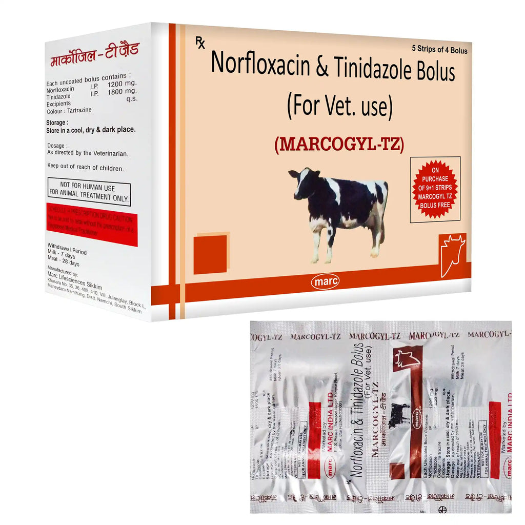 Marcogyl TZ Metronidazole & Tinidazole Veterinary Bolus 5x4 – Mixed Gut & Protozoal Infections in Livestock
