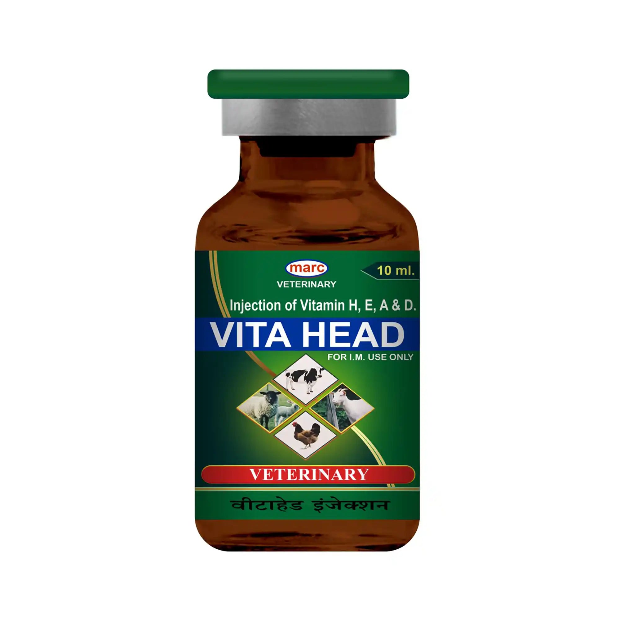 Vita Head Multivitamin Injection 10ml – Larger Dose Injectable Vitamins for Livestock Recovery