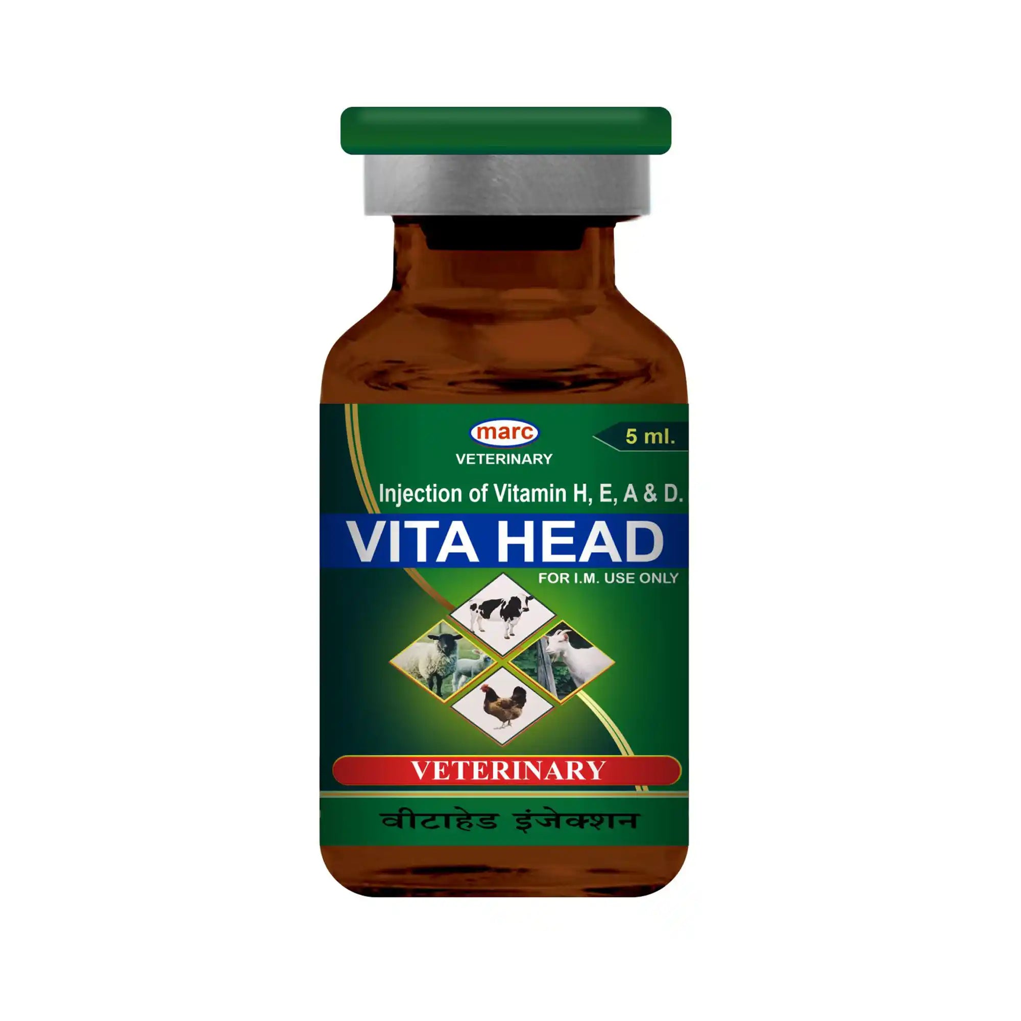 Vita Head Multivitamin Injection 5ml – Injectable Vitamins for Individual Livestock Treatment